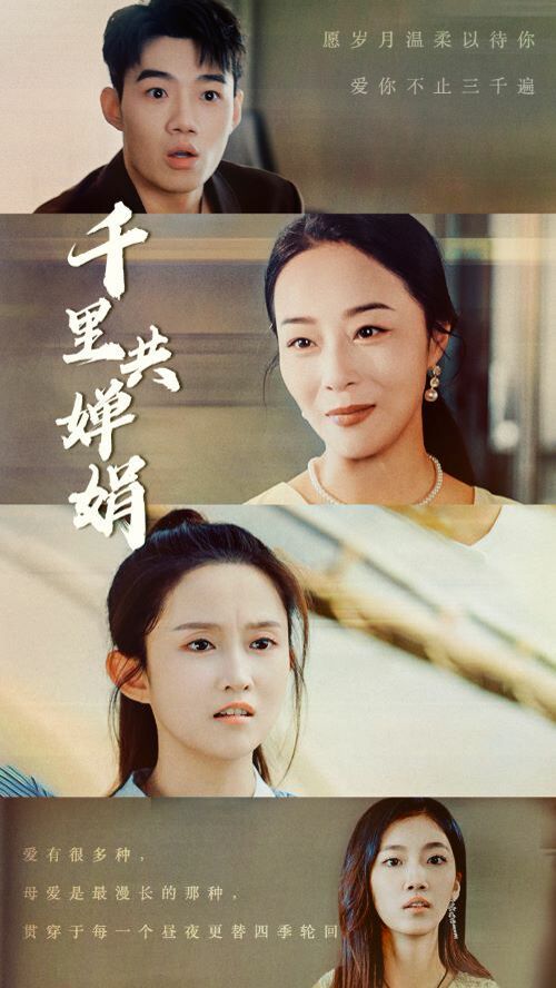 千里共婵娟第47集
