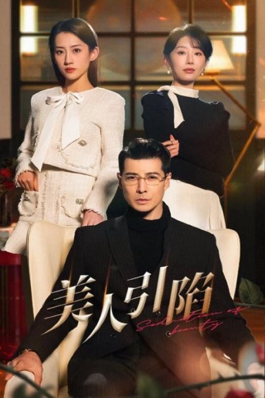 美人引陷第21-40集