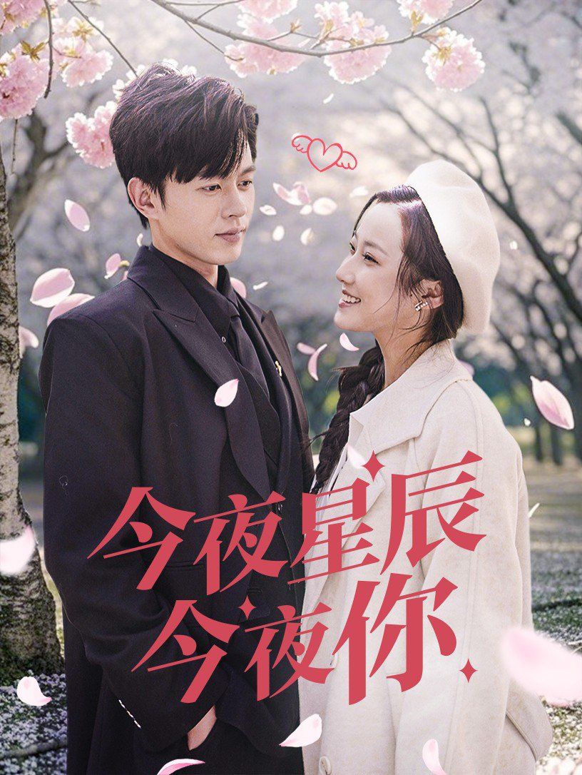 今夜星辰今夜你第41-60集