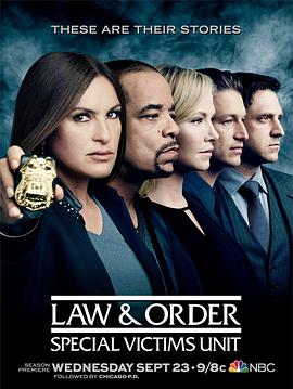 法律与秩序：特殊受害者 第十七季第13集