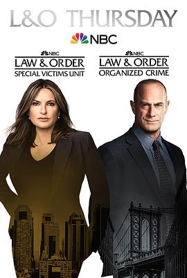 法律与秩序：组织犯罪第二季第03集