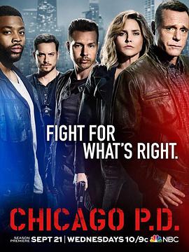 芝加哥警署第四季第11集