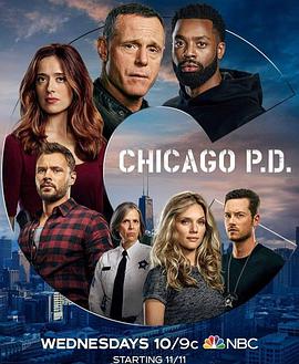 芝加哥警署第八季第4集